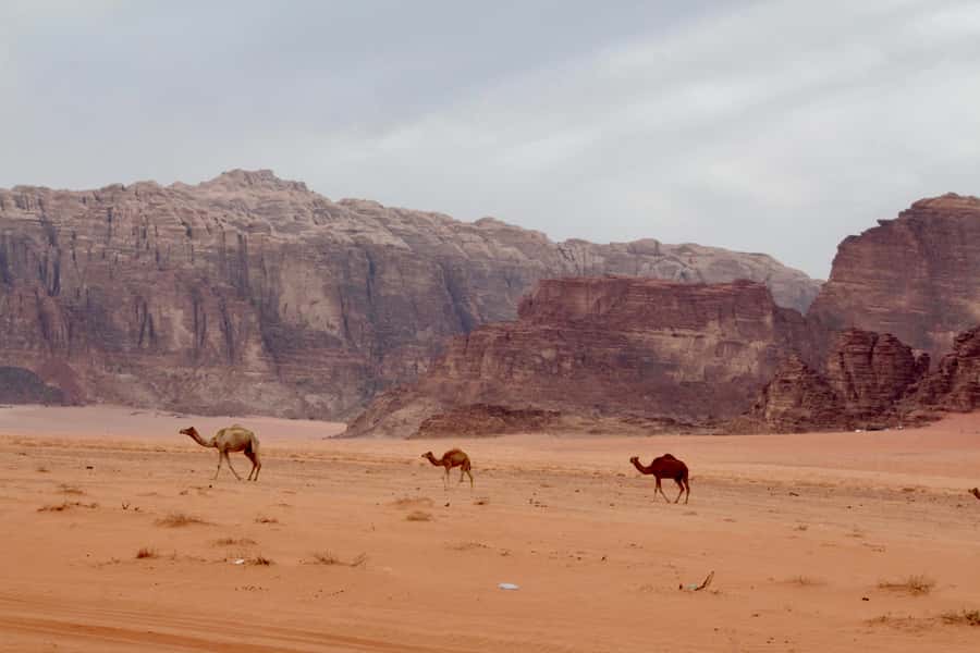 Wadi Rum: 2nights|3Day all-inclusive BedouinDesertExperience - What makes this Wadi Rum stay different
