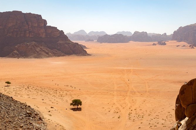 Wadi Rum: 4 Hour Highlights Tour - Why a private 4WD is the right way to see Wadi Rum