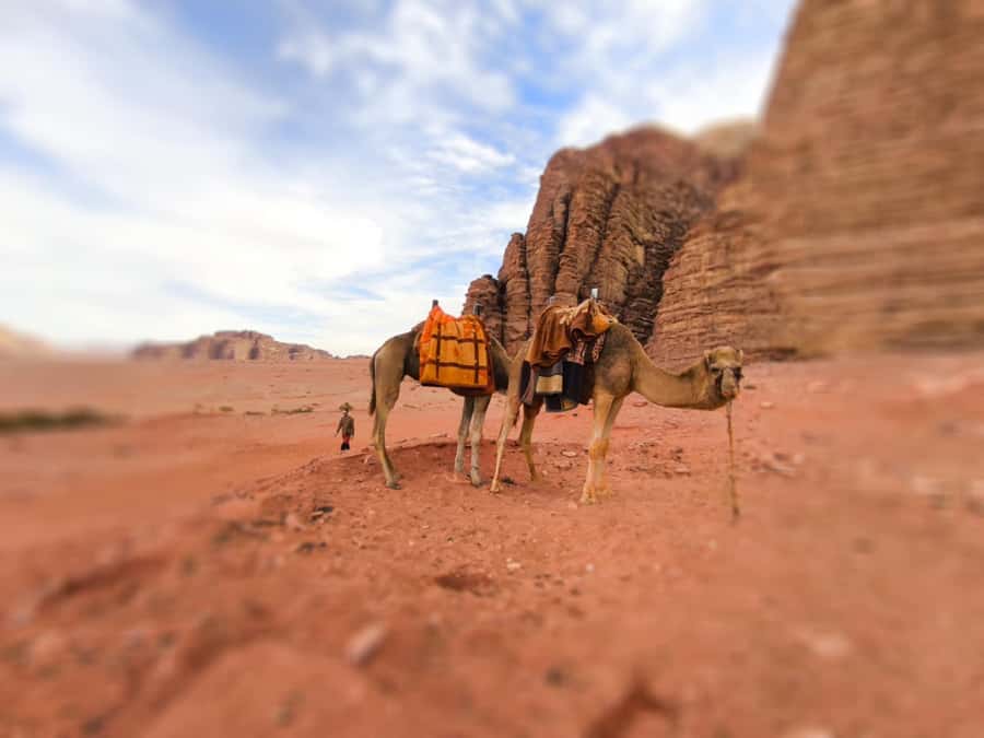 Wadi Rum: Camel Ride with tea and Bedouin Guide - One hour on a Bedouin camel