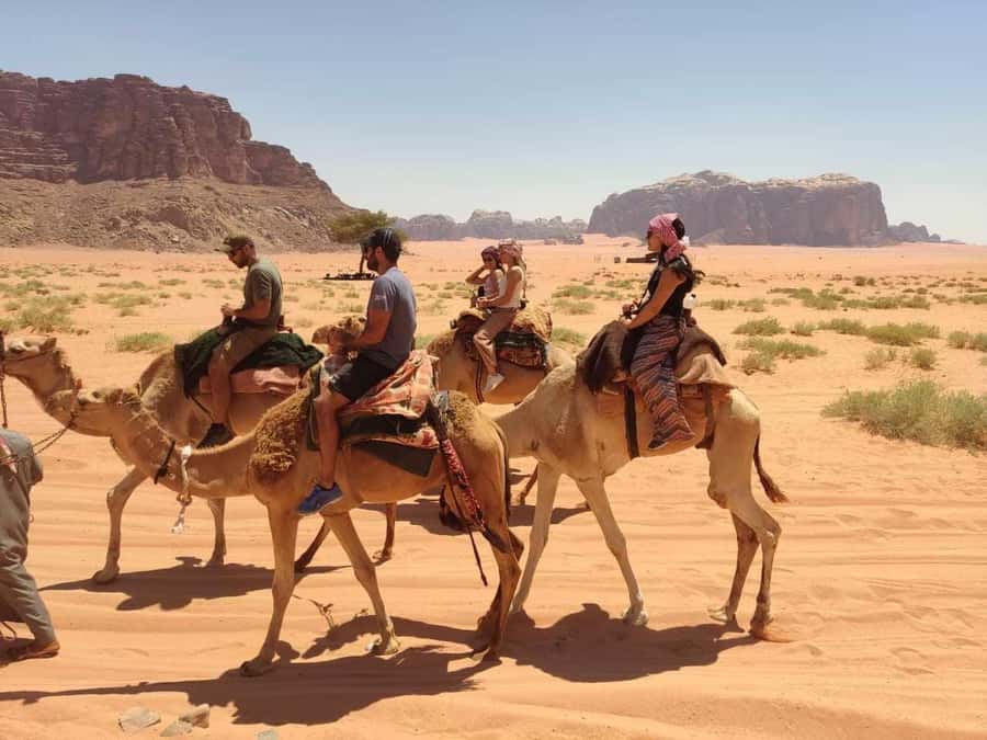 Wadi Rum: Camel Ride with tea and Bedouin Guide - Red sand and Bedouin tea at Al Ramal