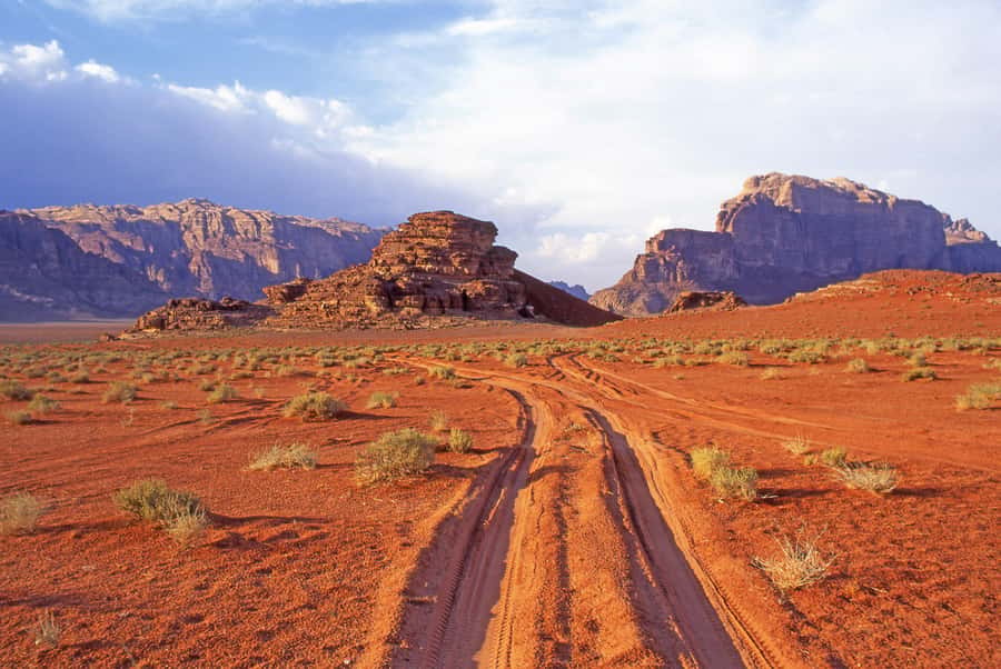 Wadi Rum: Camel Ride with tea and Bedouin Guide - What the $53 price really covers