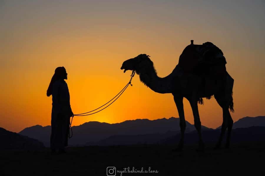 Wadi Rum: Camel Ride with tea and Bedouin Guide - From Wadi Rum Village to the camel point