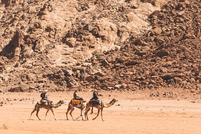 Wadi Rum: Camel Trek Adventure - Starting at Wadi Rum Rest House