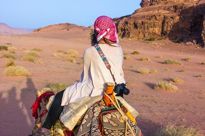 Wadi Rum: Camel Trek Adventure - The camels and the pace of the ride