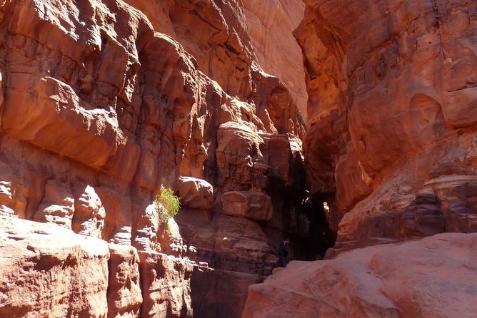 Wadi Rum: Camel Trek Adventure - How this differs from a full-day or overnight trek