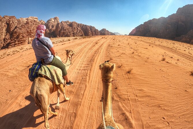 Wadi Rum: Camel Trek Adventure - Riding from Lawrence Spring toward the red dunes