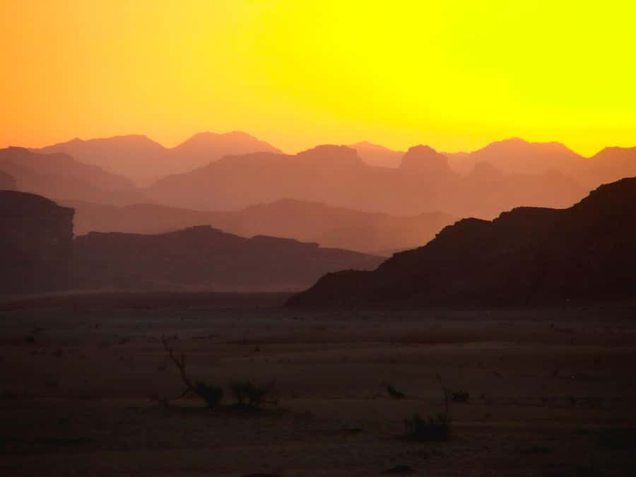 Wadi Rum: Choose 2 to 9 Hour Jeep Pass, Guide & Meal Options - Tea, lunch, and the human side of the trip