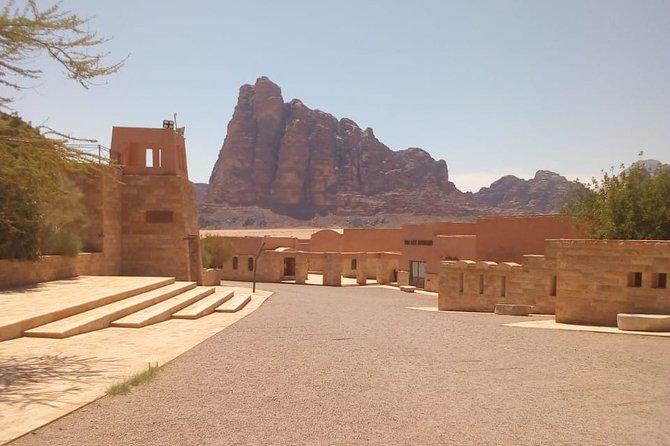 Wadi Rum Day Tour from Petra ending in Aqaba - Optional camel riding and lunch