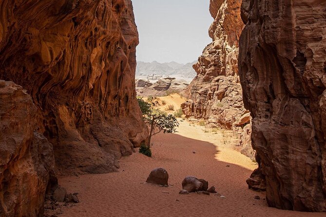 Wadi Rum Desert Tour with Lunch & Sunset - Khazali Canyon, where a short walk changes the pace