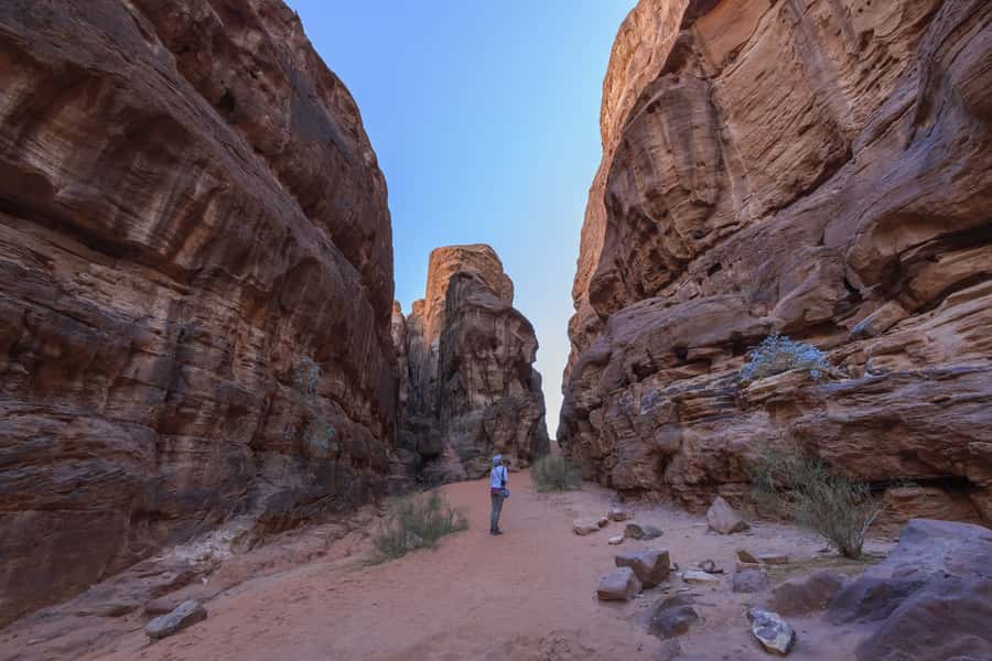 Wadi Rum: Explore 10-Hour Jeep Tour Pass, Guide, Meal & Stay - Sunset from a high viewpoint