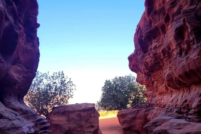 Wadi Rum Full Day Jeep Tour + Overnight & Dinner in Bedouin Camp - Red sand, Little Bridge, and Umm Fruth