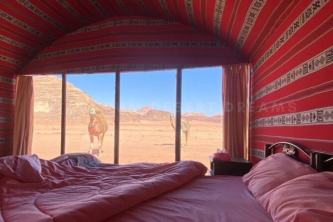 Wadi Rum Full Day Jeep Tour + Overnight & Dinner in Bedouin Camp - Sunset tea and a night in the desert
