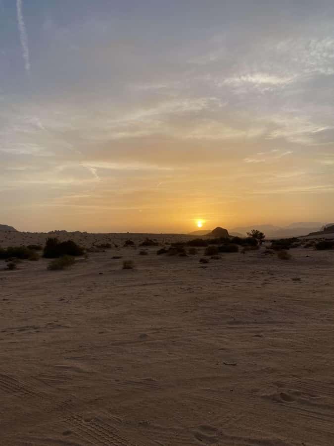 Wadi Rum:Full Day Tour Lunch Sand boarding Camel Ride Sunset - Khazali Canyon, inscriptions, and a small arch