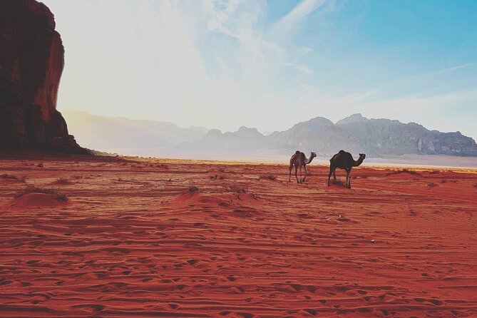 Wadi Rum Half-Day 4x4 and Camel Tour - The camel ride adds a slower pace