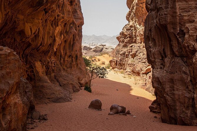 Wadi Rum Half-Day Desert Tour | Wadi Rum Desert - What the four-wheel-drive ride is really like