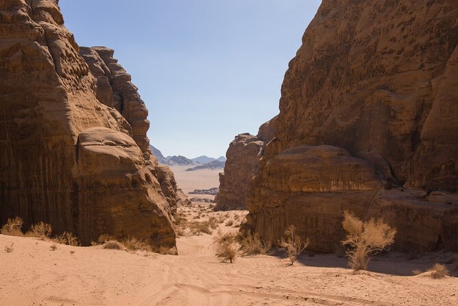 Wadi Rum: Mountain Hike with Lunch & Scenic Valley Tour - Local guides and the human side of the day