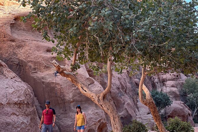 Wadi Rum Short Tours - Lawrence’s House and Anfeshiyeh Inscriptions