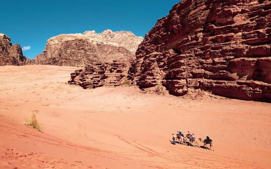 Whispers of Stone, Sand & Sea: Jordan in Five Days - What the $429 price really covers